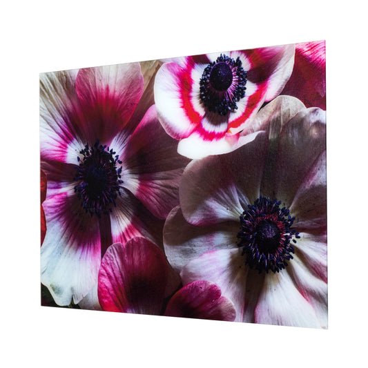 Yosemite Home Decor Anemone I Glass Art