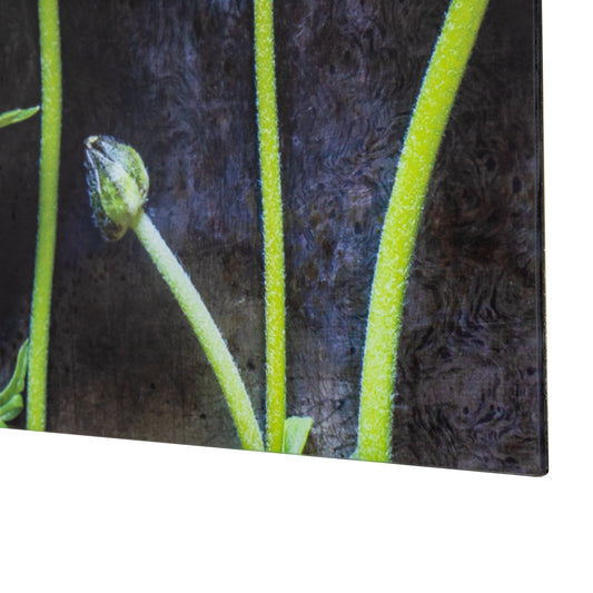 Yosemite Home Decor Ranunculus I Glass Art