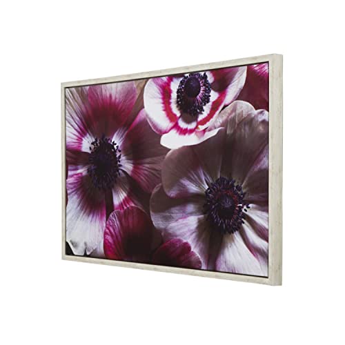 Yosemite Home Decor Anemone II' - 38" Wx25 H Photo by Veronica Olson, Printed on Canvas, Framed, Multicolor