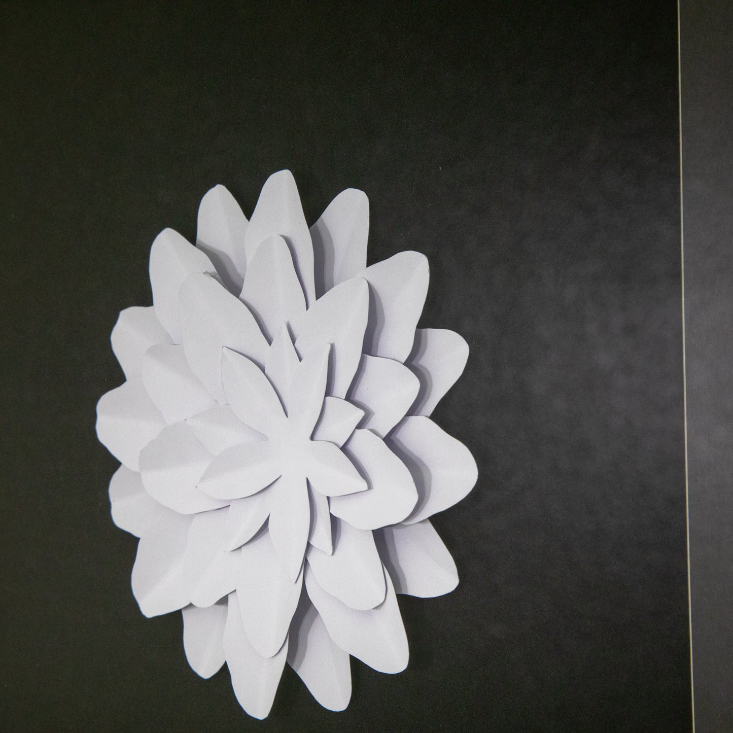 Papayrus II 3D Paper Flower Wall Art - White Handcrafted Shadowbox Frame 21.7"